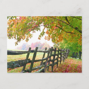 USA, Vermont. Zaun unter Laub. Postkarte