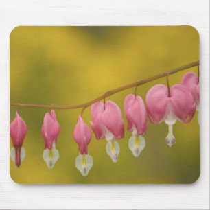 USA, Virginia, Arlington, Nahaufnahme von rosa Mousepad