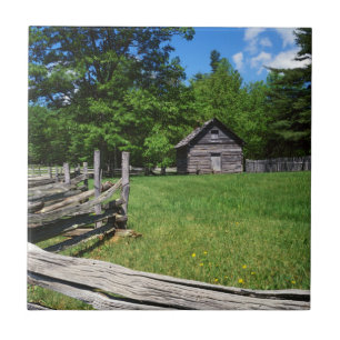USA, Virginia, Blue Ridge Parkway, The Puckett 2 Fliese