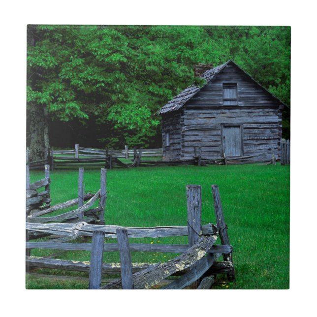 USA, Virginia, Blue Ridge Parkway, The Puckett Fliese (Vorderseite)