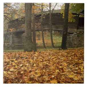 USA, Virginia, Covington, Humpback Covered Fliese