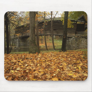 USA, Virginia, Covington, Humpback Covered Mousepad