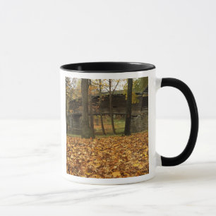 USA, Virginia, Covington, Humpback Gewölbt Tasse
