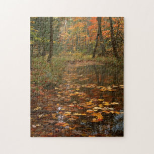 USA, Virginia, Herbst im Douthat State Park