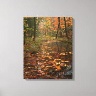 USA, Virginia, Herbst im Douthat State Park Leinwanddruck