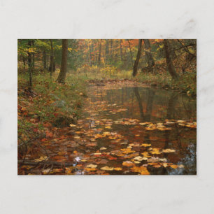USA, Virginia, Herbst im Douthat State Park Postkarte