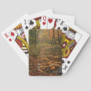 USA, Virginia, Herbst im Douthat State Park Spielkarten