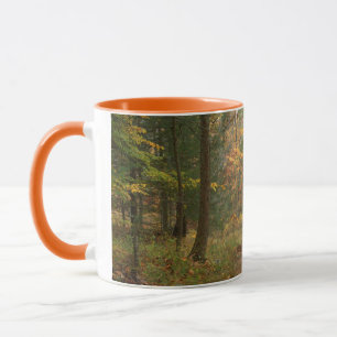 USA, Virginia, Herbst im Douthat State Park Tasse