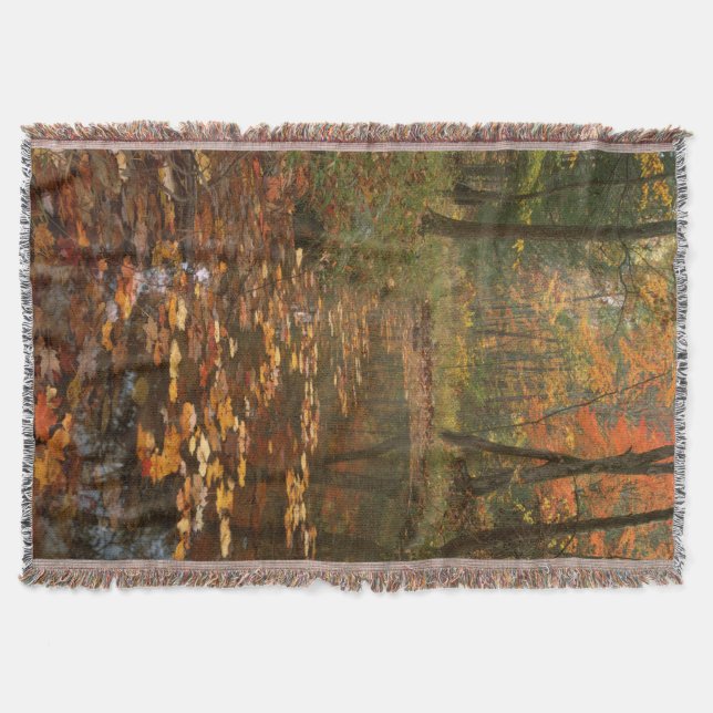 USA, Virginia, Herbst in Douthat Staat Park Decke (Vorderseite)