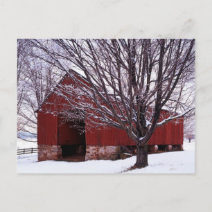 USA, Virginia, Landkreis Fairfax, Stall und Ahorn Postkarte
