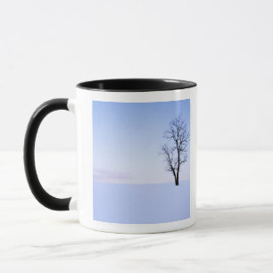 USA, Virginia, Page Landkreis, Black Locust Tasse