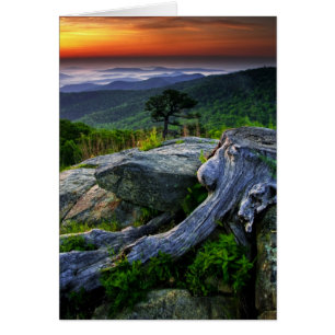 USA, Virginia, Shenandoah National Park.
