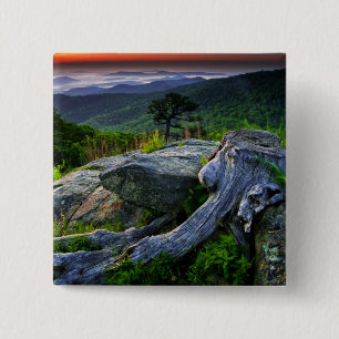USA, Virginia, Shenandoah National Park. Button