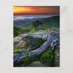 USA, Virginia, Shenandoah National Park. Postkarte