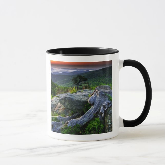 USA, Virginia, Shenandoah National Park. Tasse (Rechts)