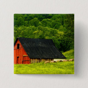 USA, Virginia, Shenandoah Nationalpark, 2 Button