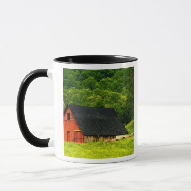 USA, Virginia, Shenandoah Nationalpark, 2 Tasse (Links)