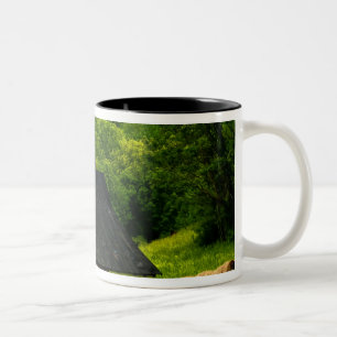 USA, Virginia, Shenandoah Nationalpark, 2 Zweifarbige Tasse