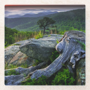 USA, Virginia, Shenandoah-Nationalpark Glasuntersetzer