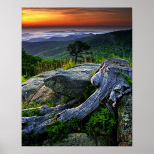 USA, Virginia, Shenandoah-Nationalpark. Poster