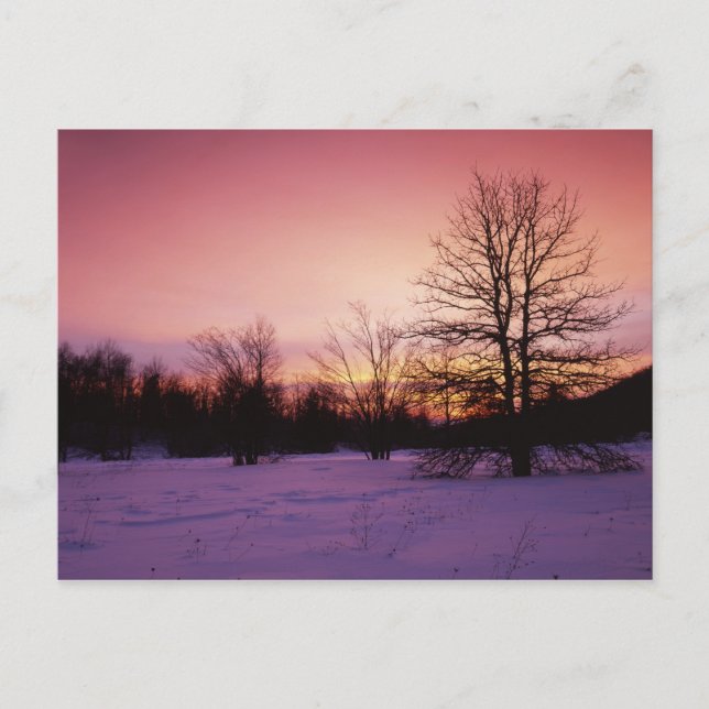 USA, Virginia, Shenandoah-Nationalpark, Postkarte (Vorderseite)