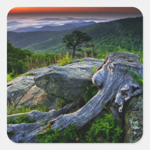 USA, Virginia, Shenandoah-Nationalpark. Quadratischer Aufkleber