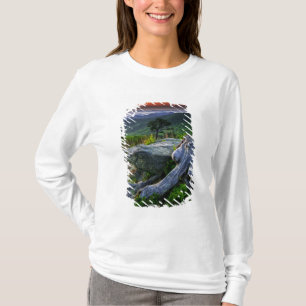 USA, Virginia, Shenandoah-Nationalpark. T-Shirt