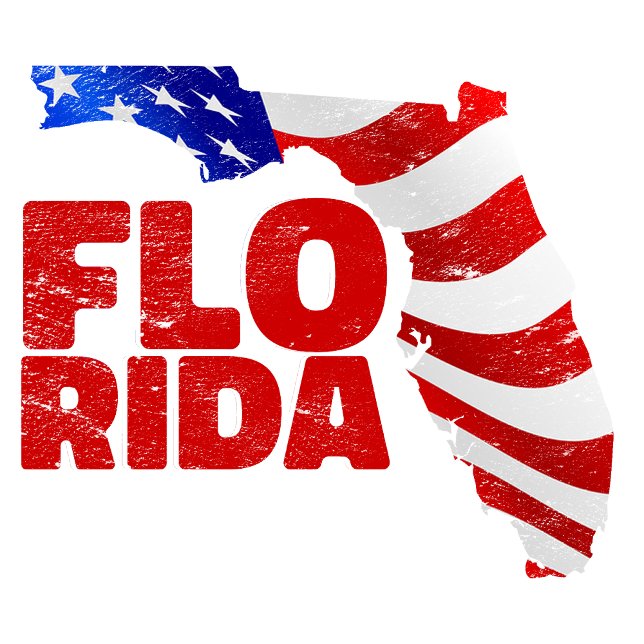 USA von Florida Pride. T-Shirt (Von Creator hochgeladen)