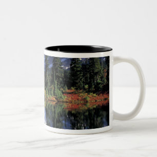 USA, WA, Heather Meadows RA. Mount Shuksan bei Zweifarbige Tasse