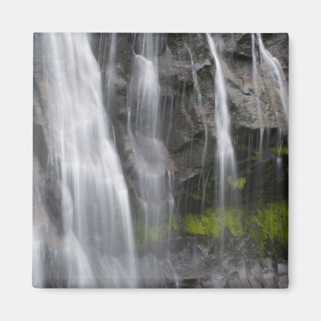 USA, WA, Rainier NP, Narada Falls Magnet (Vorne)