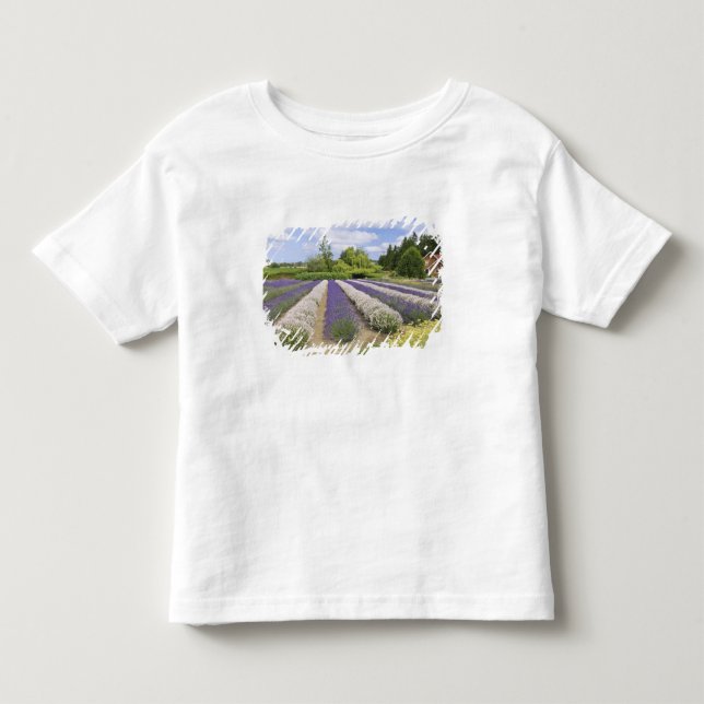 USA, WA, Sequim, Lila Haze Lavender Farm Kleinkind T-shirt (Vorderseite)