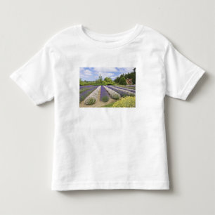 USA, WA, Sequim, Purple Haze Lavender Farm Kleinkind T-shirt