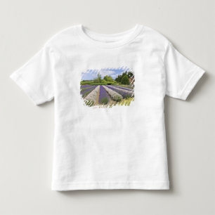 USA, WA, Sequim, Purple Haze Lavender Farm Kleinkind T-shirt