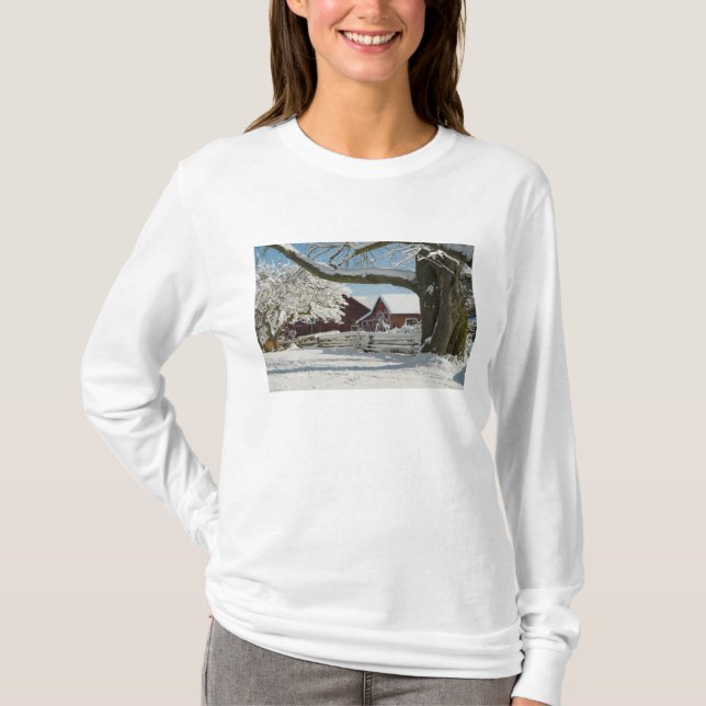 USA, WA, Whidbey Island. 2 T-Shirt (Vorderseite)