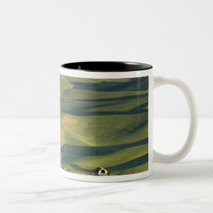 USA, WA, Whitman Co., Palouse Farm Felder Von Zweifarbige Tasse