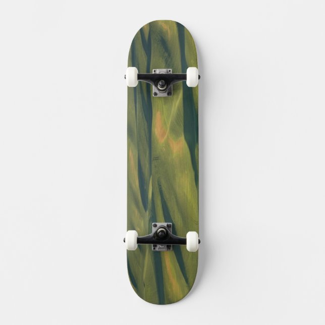 USA, WA, Whitman Co., Palouse Farm Fields from Skateboard (Vorderseite)