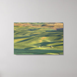 USA, WA, Whitman Co., Palouse-Farmfelder von Leinwanddruck
