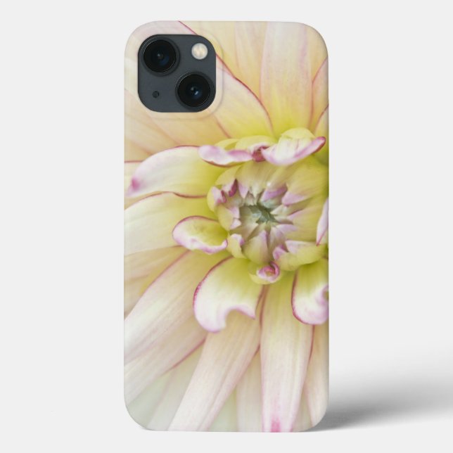USA, Washington, Bellevue, Bellevue Botanical 2 Case-Mate iPhone Hülle (Rückseite)