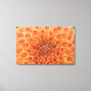 USA, Washington, Bellevue, Bellevue Botanical 3 Leinwanddruck