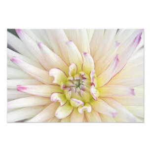 USA, Washington, Bellevue, Bellevue Botanischer Ga Fotodruck