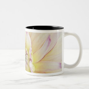 USA, Washington, Bellevue, Bellevue Botanischer Ga Zweifarbige Tasse