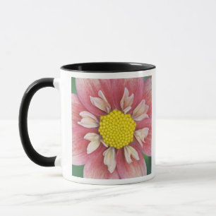 USA, Washington, Bellevue, Bellevuer Botanischer G Tasse