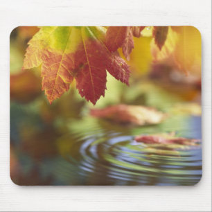 USA, Washington, Bellingham, Naher Herbstbeginn Mousepad