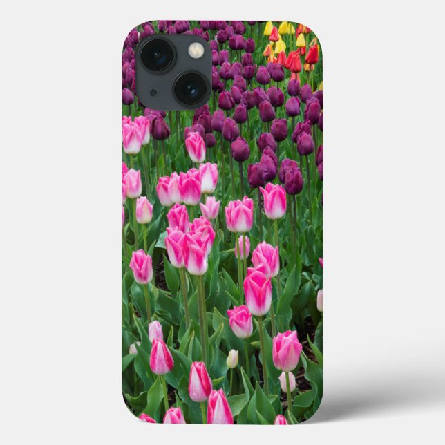 USA, Washington. Blühende Tulips Case-Mate iPhone Hülle (Rückseite)