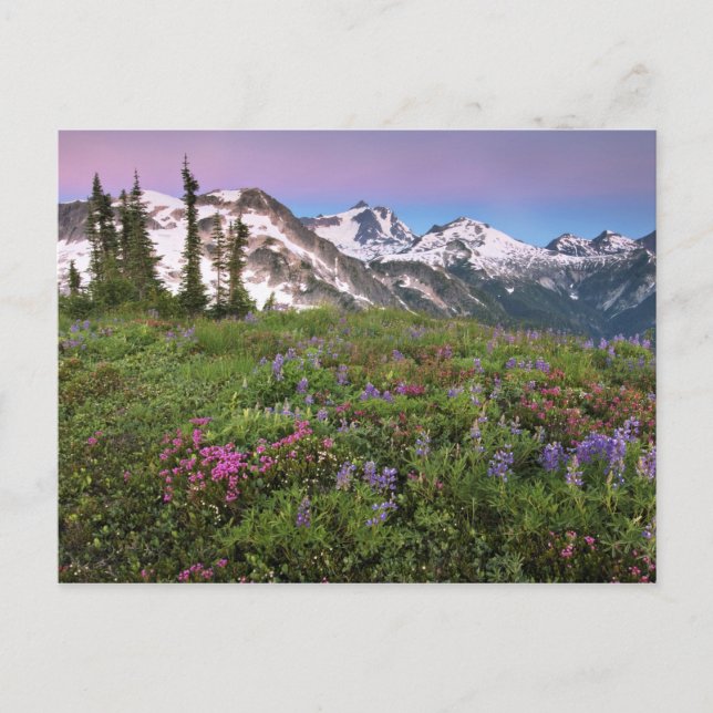USA, Washington, Cascade Mountains, North Postkarte (Vorderseite)