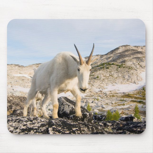 USA, Washington, Cascade Range 3 Mousepad (Vorne)