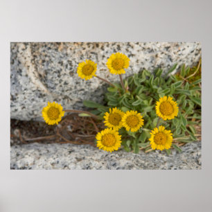 USA, Washington, Cascade Range 5 Poster