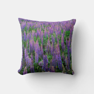 USA, Washington, Clallam County, Lupine Kissen