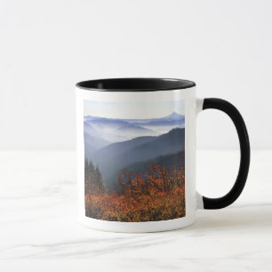 USA, Washington, Columbia River Gorge National Tasse