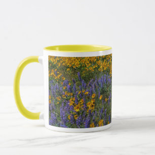 USA, Washington, Columbia River Gorge National Tasse